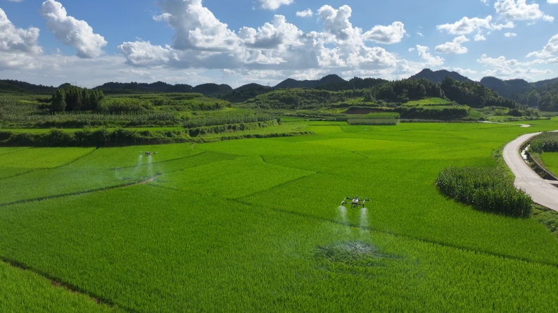 微信截图_20250722102515.png
